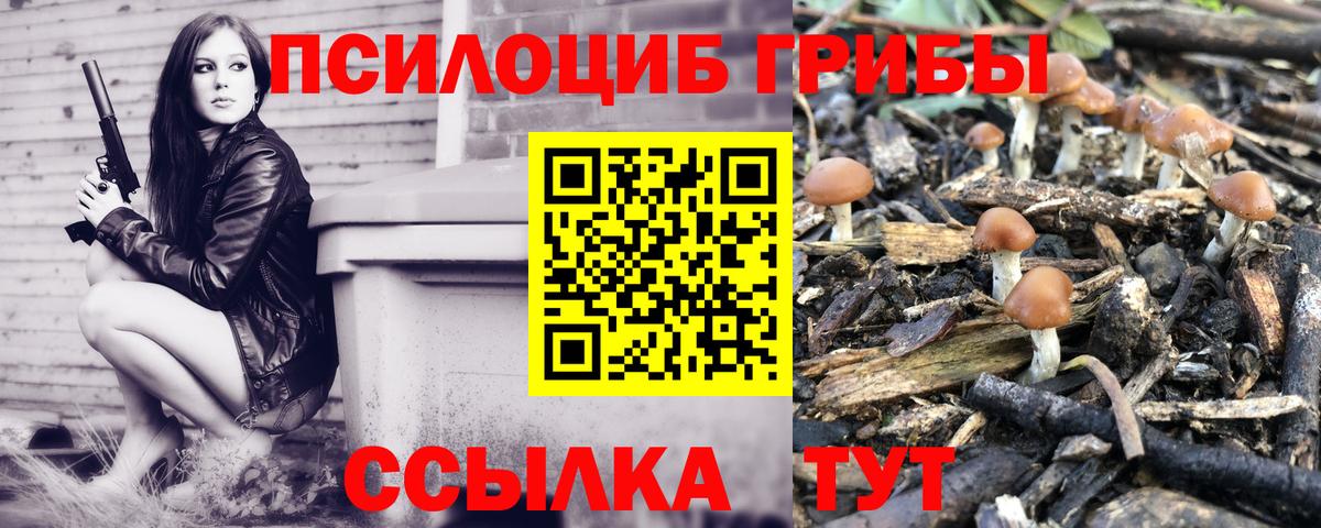 Галлюциногенные грибы мицелий Ноябрьск