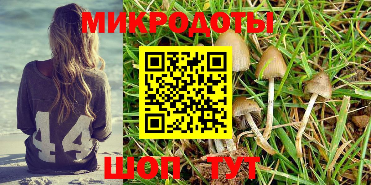 Ноябрьск  Псилоцибиновые грибы мухоморы  Вход с VPN 