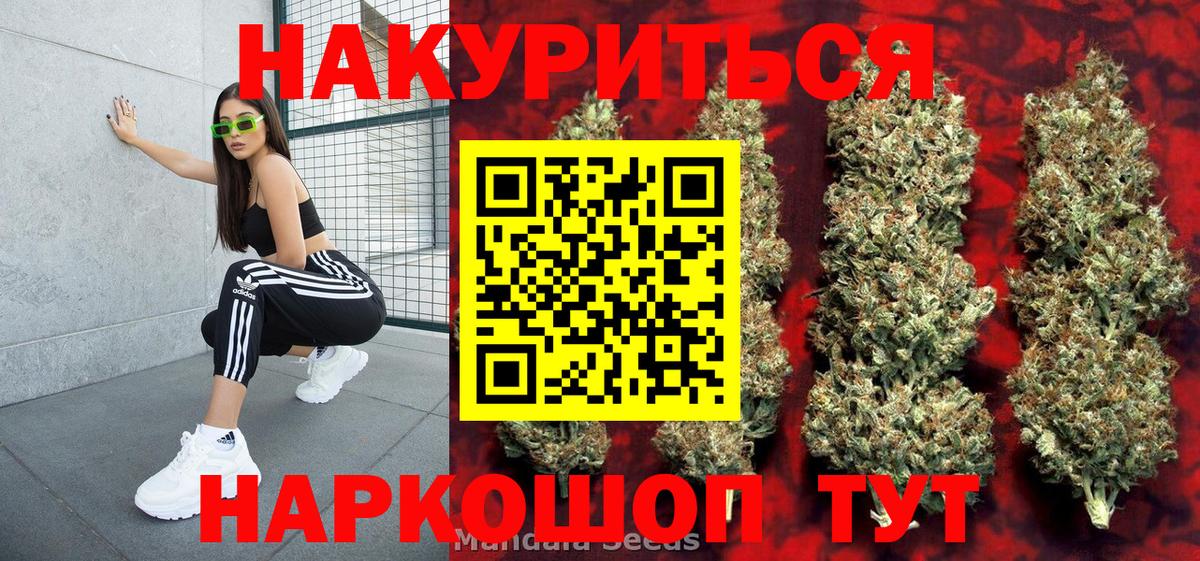 Каннабис индика Ноябрьск